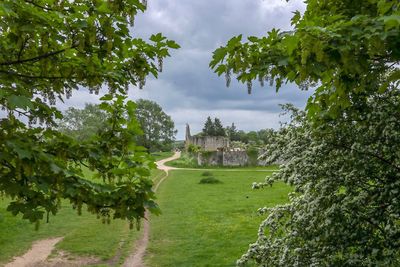 Panoramic view of trees and buildings against sky