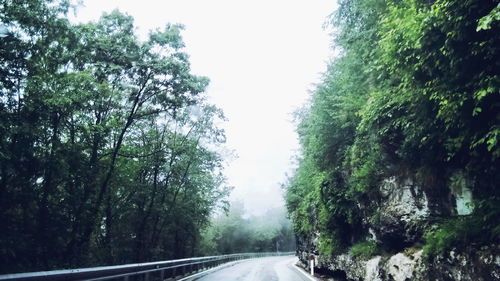 Road passing through trees