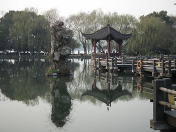 Reflection of trees in water