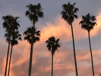 Low angle view of silhouette palm trees against romantic sky