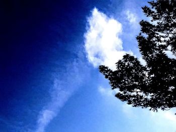 Low angle view of trees against cloudy sky