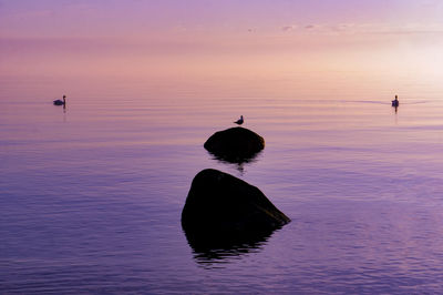 Silhouette bird flying over sea against orange sky