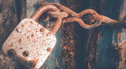 Close-up of rusty metal chain and lock 
on tree trunk