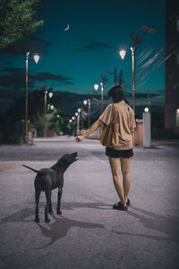 Rear view of woman walking with dog on street