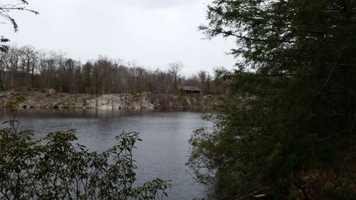 Scenic view of lake with trees in background