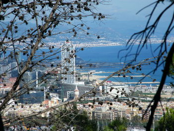 High angle view of buildings and trees against sky