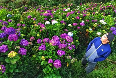 High angle view of various flowers in field