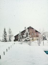 Snow covered tree and building against sky