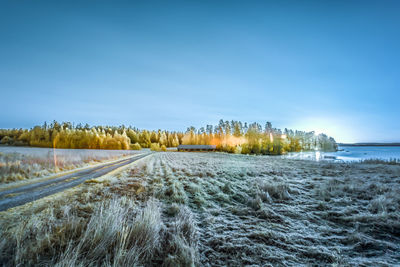 Scenic view of field against clear blue sky