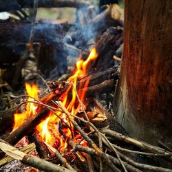 Close-up of bonfire