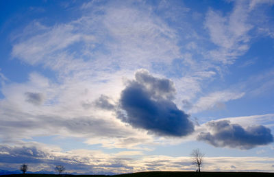 Low angle view of trees against cloudy sky