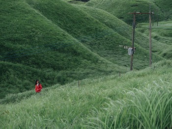 Person walking on field