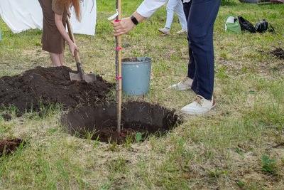 soil