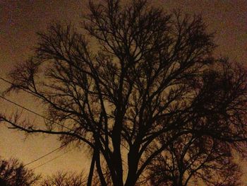 Low angle view of bare trees against sky at sunset