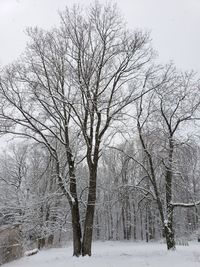 Bare trees on snow covered field against sky