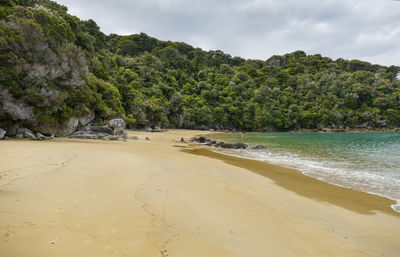 Scenic view of beach against sky