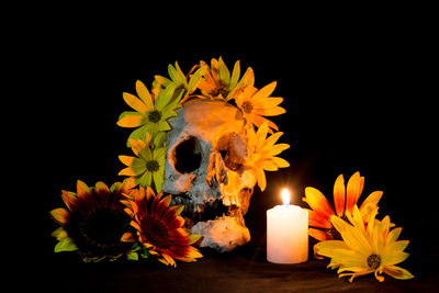 Close-up of christmas decorations against black background