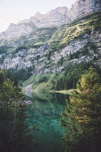 Scenic view of forest and mountains against sky