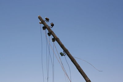 Low angle view of bird perching on pole against clear sky