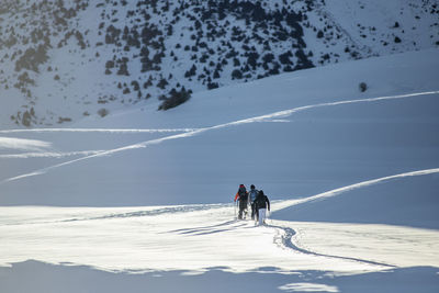 People skiing on snowcapped mountain