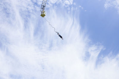 Low angle view of bird flying against sky