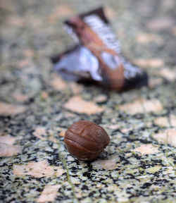 Low section of shoe on ground