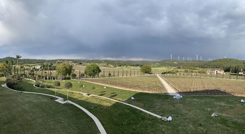 High angle view of wine yards against sky