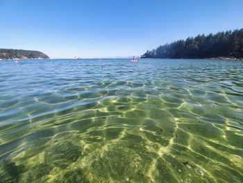 Scenic view of sea against clear sky