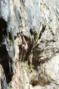 Full frame shot of tree trunk