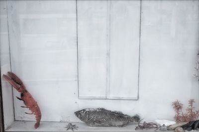 Close-up of window on wall