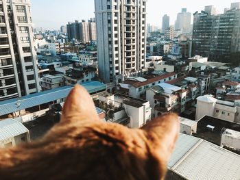 Rear view of man with cityscape in background