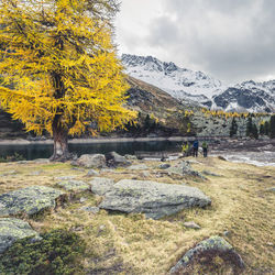 Scenic view of lake against sky during autumn