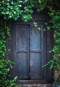 Closed door of building