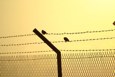 Low angle view of barbed wire against clear sky