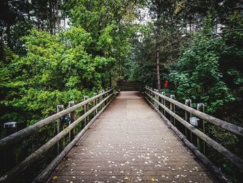 Footbridge amidst trees in forest