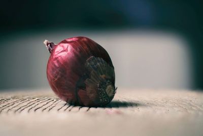 Close-up of snail on leaf