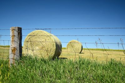 Hay bales on field against clear sky