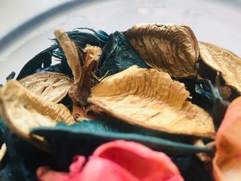 Close-up of fish in plate