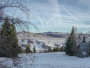 Scenic view of trees against sky