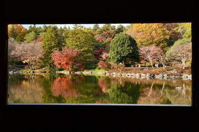 Plants growing by lake during autumn