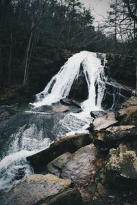 Scenic view of waterfall in forest against sky