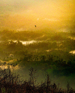 Bird flying over landscape against sky during sunset