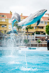 Water splashing in swimming pool