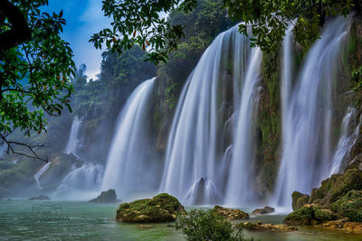 Scenic view of waterfall in forest