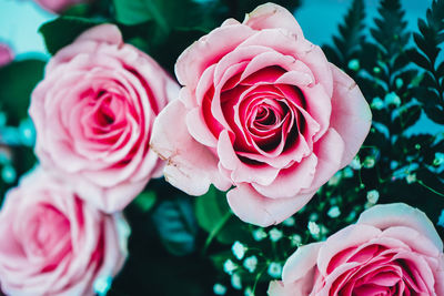 Close-up of rose bouquet