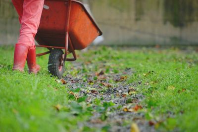 Low section of person with wheelbarrow on field