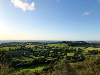 Scenic view of agricultural landscape against sky