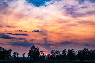 Silhouette trees against dramatic sky during sunset