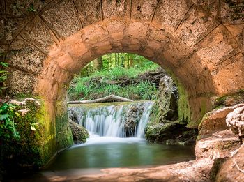 View of waterfall in forest