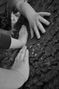 High angle view of woman touching hand